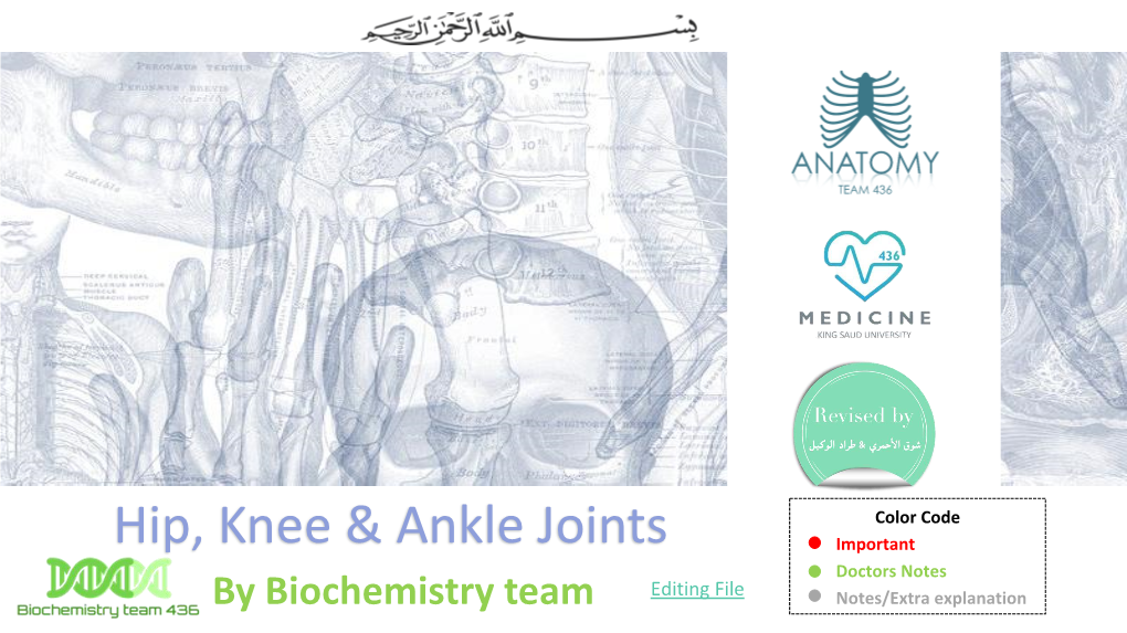 Hip, Knee & Ankle Joints