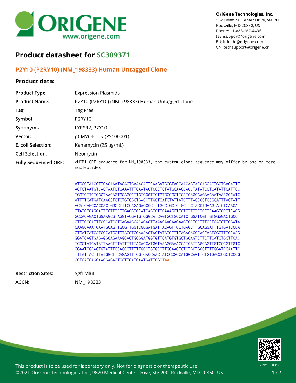 P2Y10 (P2RY10) (NM 198333) Human Untagged Clone Product Data