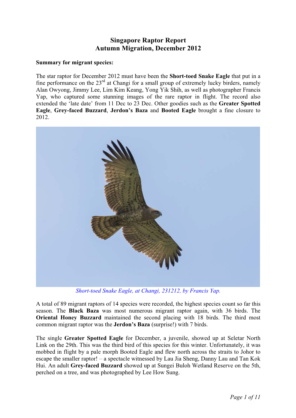 Singapore Raptor Report Autumn Migration, December 2012