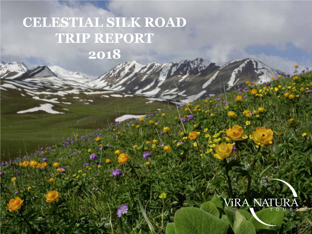 Celestial Silk Road Trip Report 2018