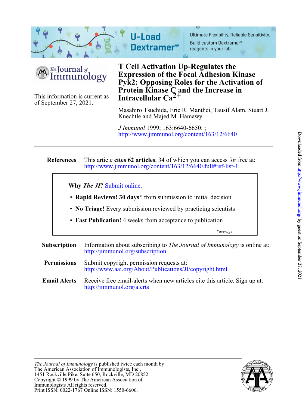 2+ Intracellular Ca Protein Kinase C and the Increase in Pyk2: Opposing