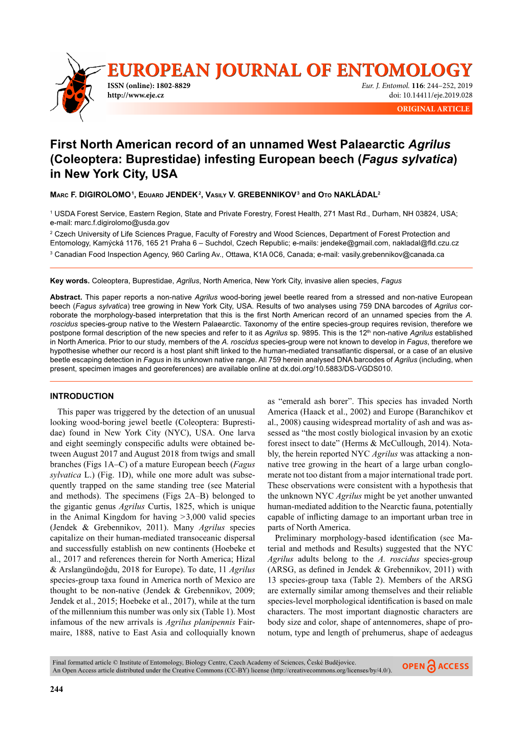 First North American Record of an Unnamed West Palaearctic Agrilus (Coleoptera: Buprestidae) Infesting European Beech (Fagus Sylvatica) in New York City, USA