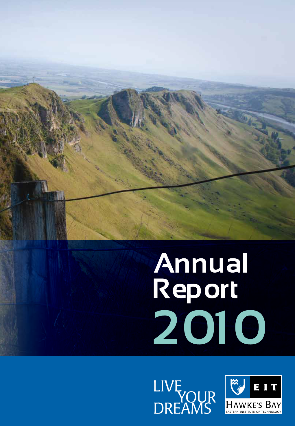 Annual Report 2010