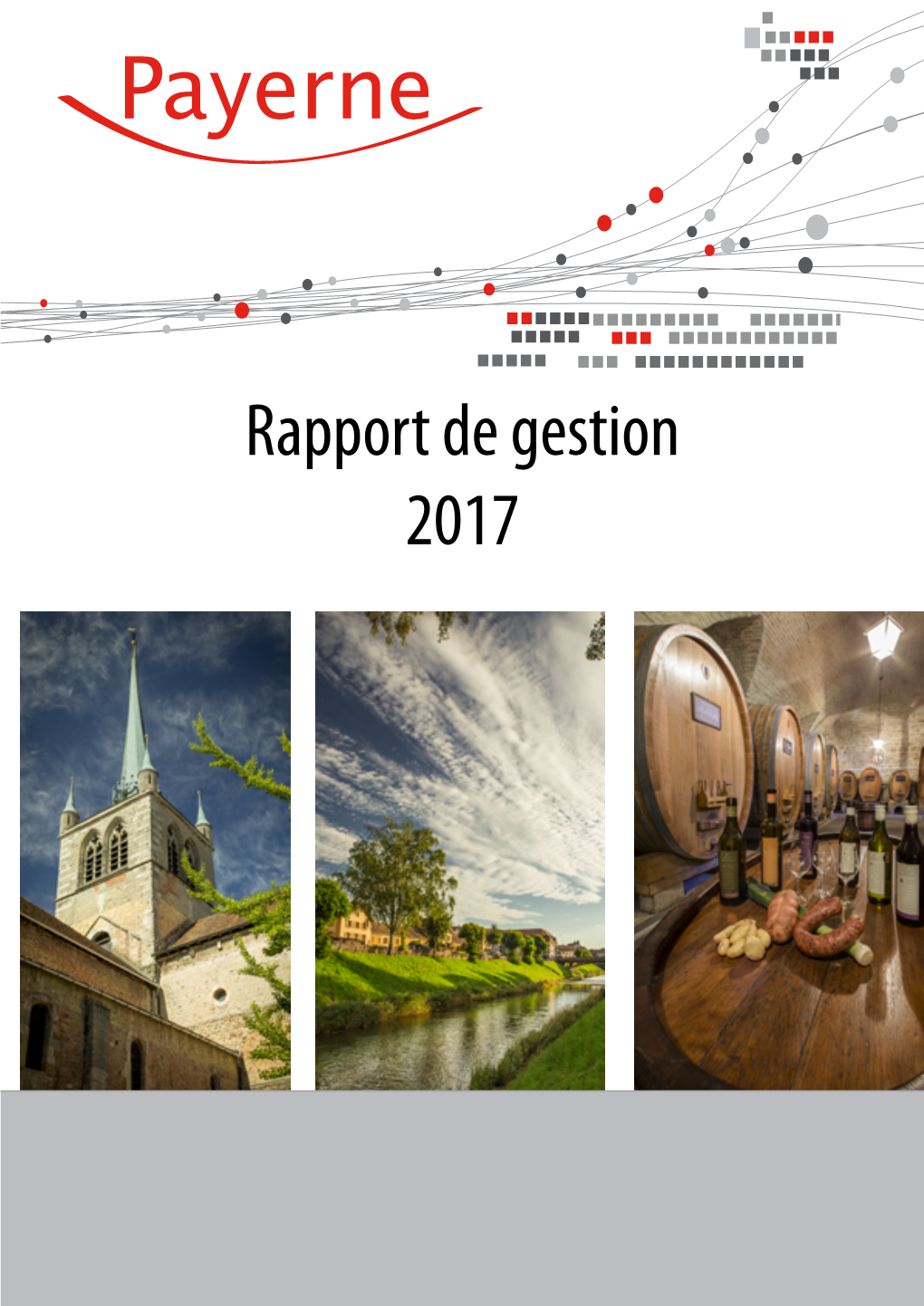 Rapport De Gestion 2017 RAPPORT DE GESTION 2017 1