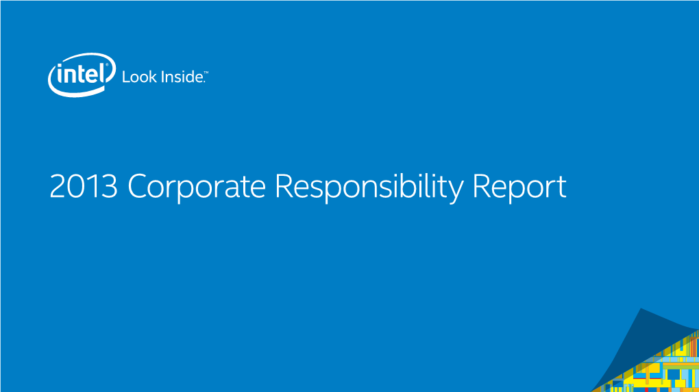 2013 Intel CSR Full Report