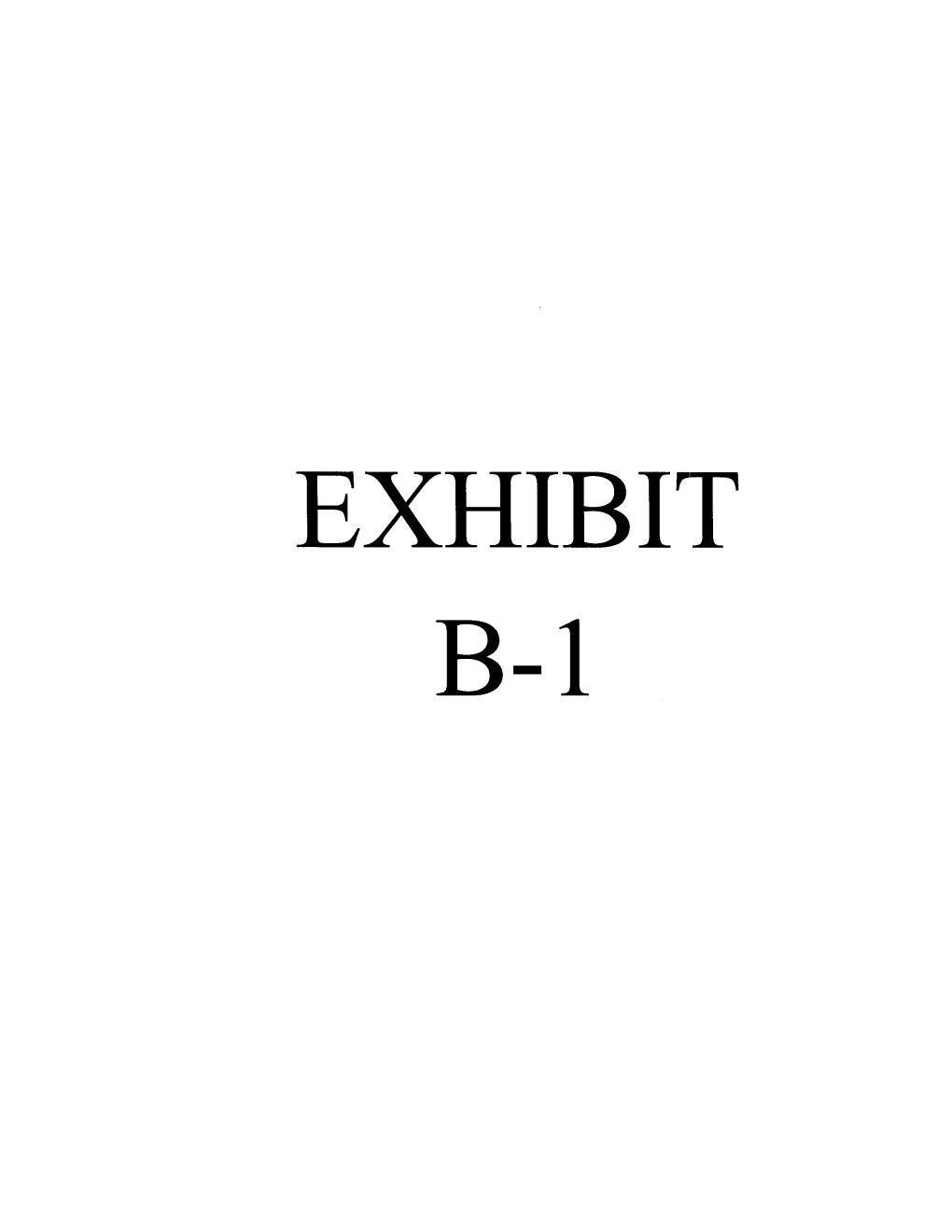 In Re: Netflix, Inc. Securities Litigation 04-CV-2978-Declaration Of