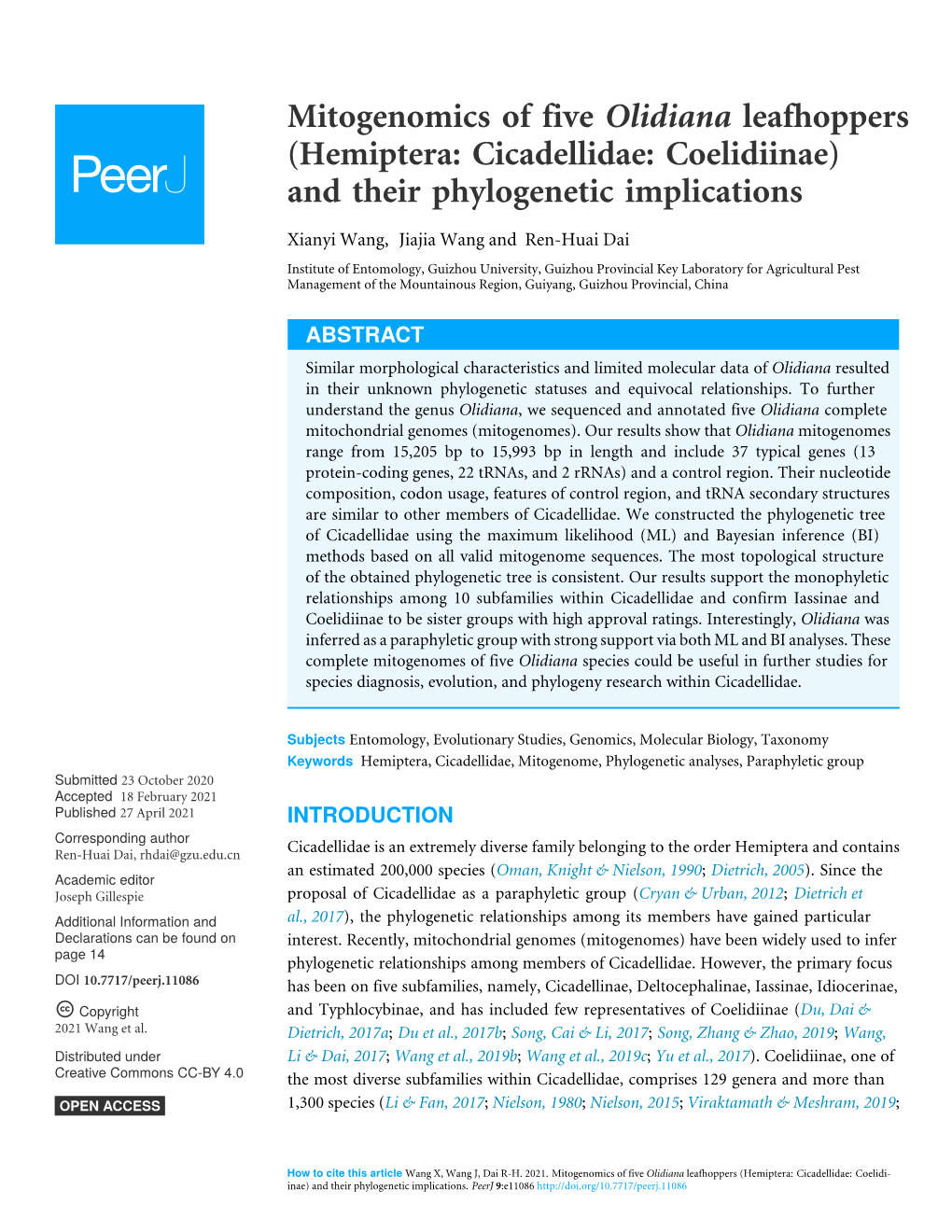 (Hemiptera: Cicadellidae: Coelidiinae) and Their Phylogenetic Implications