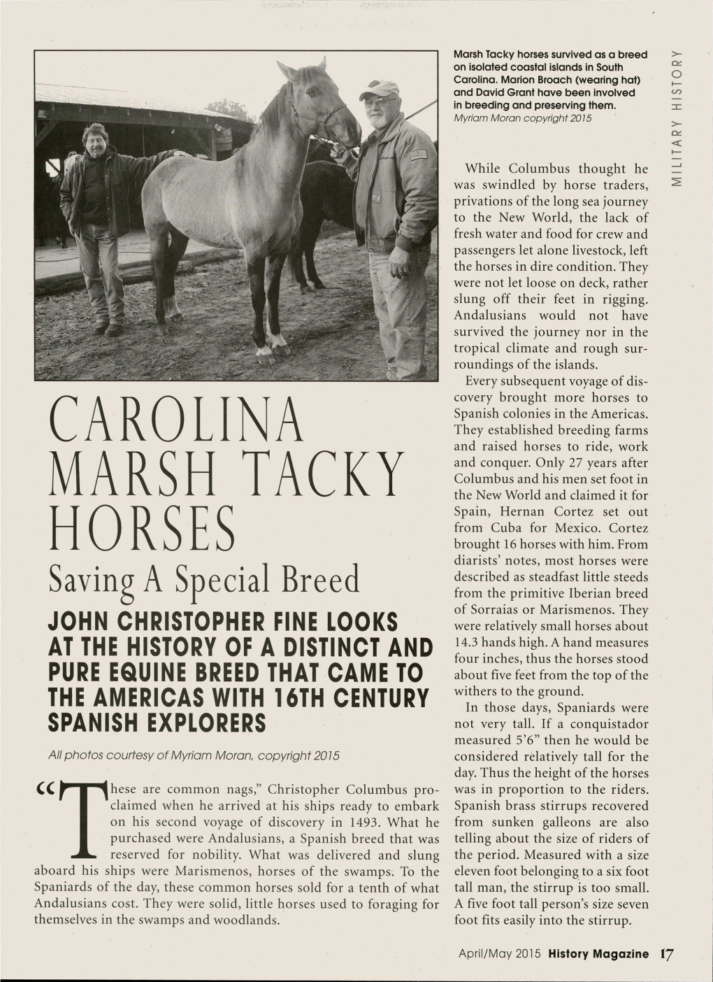 Carolina Marsh Tacky Horses