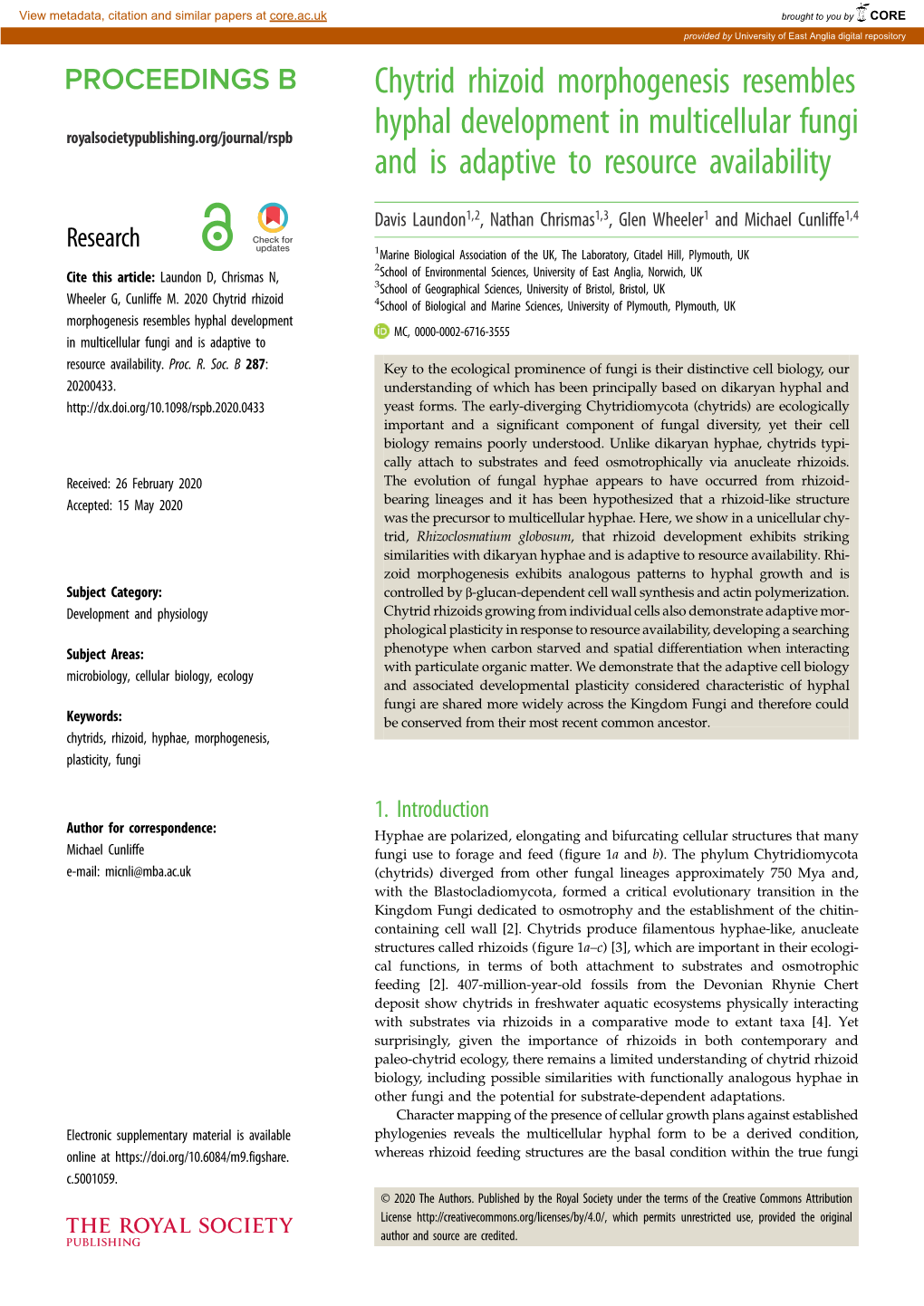 Chytrid Rhizoid Morphogenesis Resembles Hyphal Development in Multicellular Fungi and Is Adaptive to Resource Availability