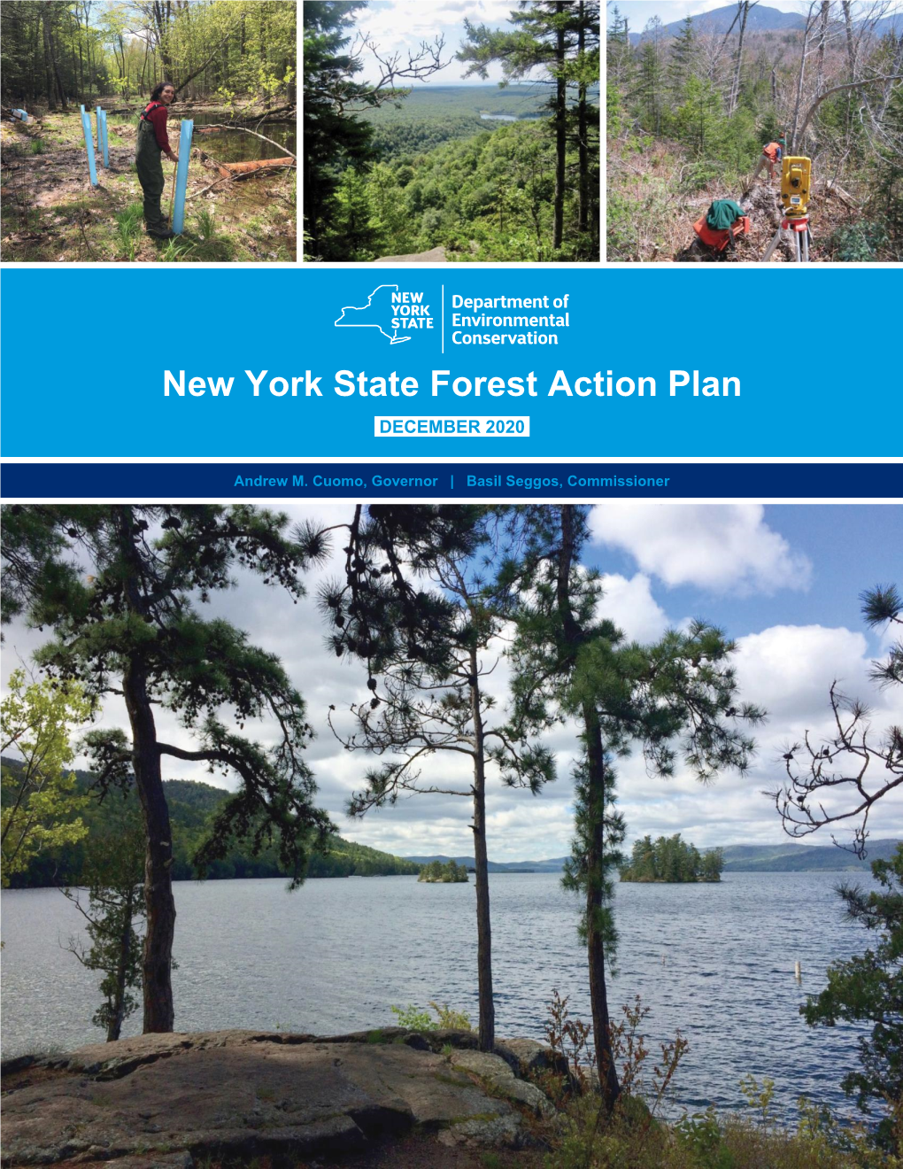 New York State Forest Action Plan DECEMBER 2020