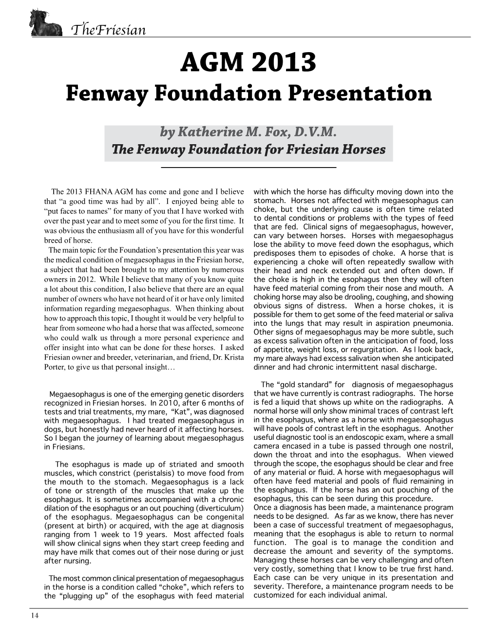 AGM 2013 Fenway Foundation Presentation