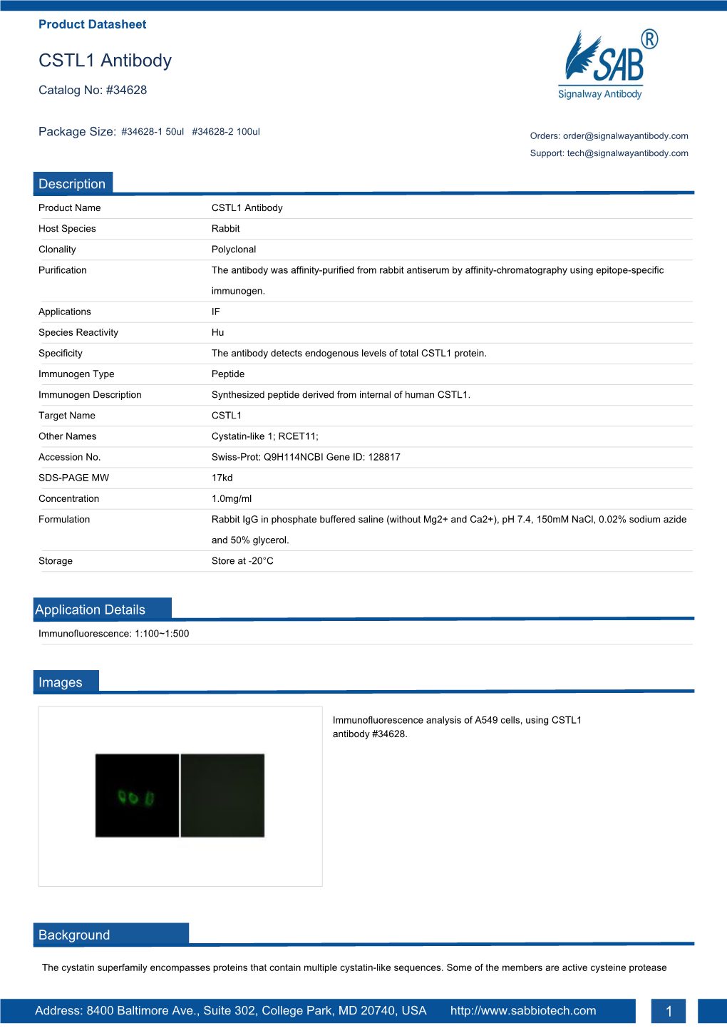 CSTL1 Antibody