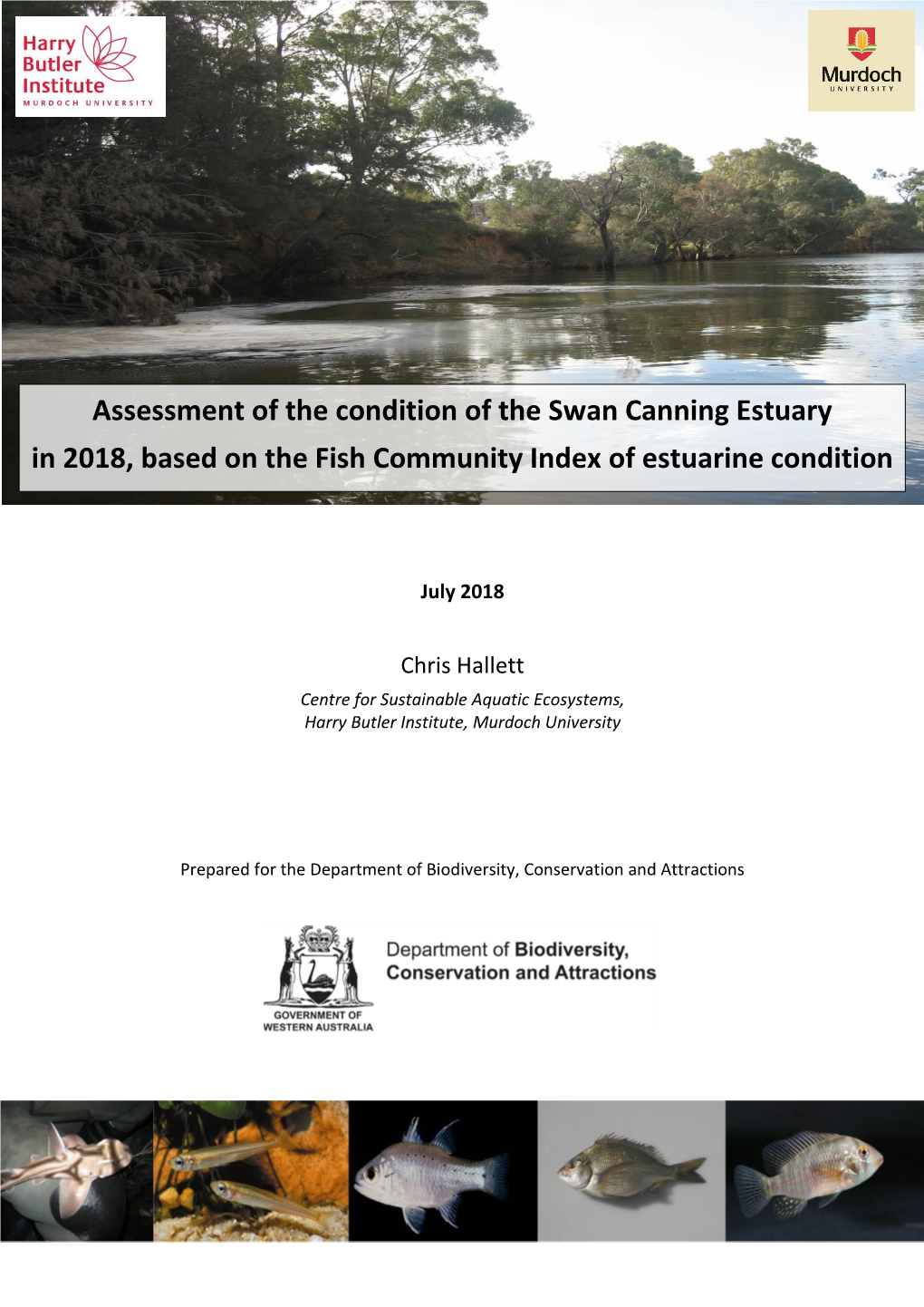 Assessment of the Condition of the Swan Canning Estuary in 2018, Based on the Fish Community Index of Estuarine Condition