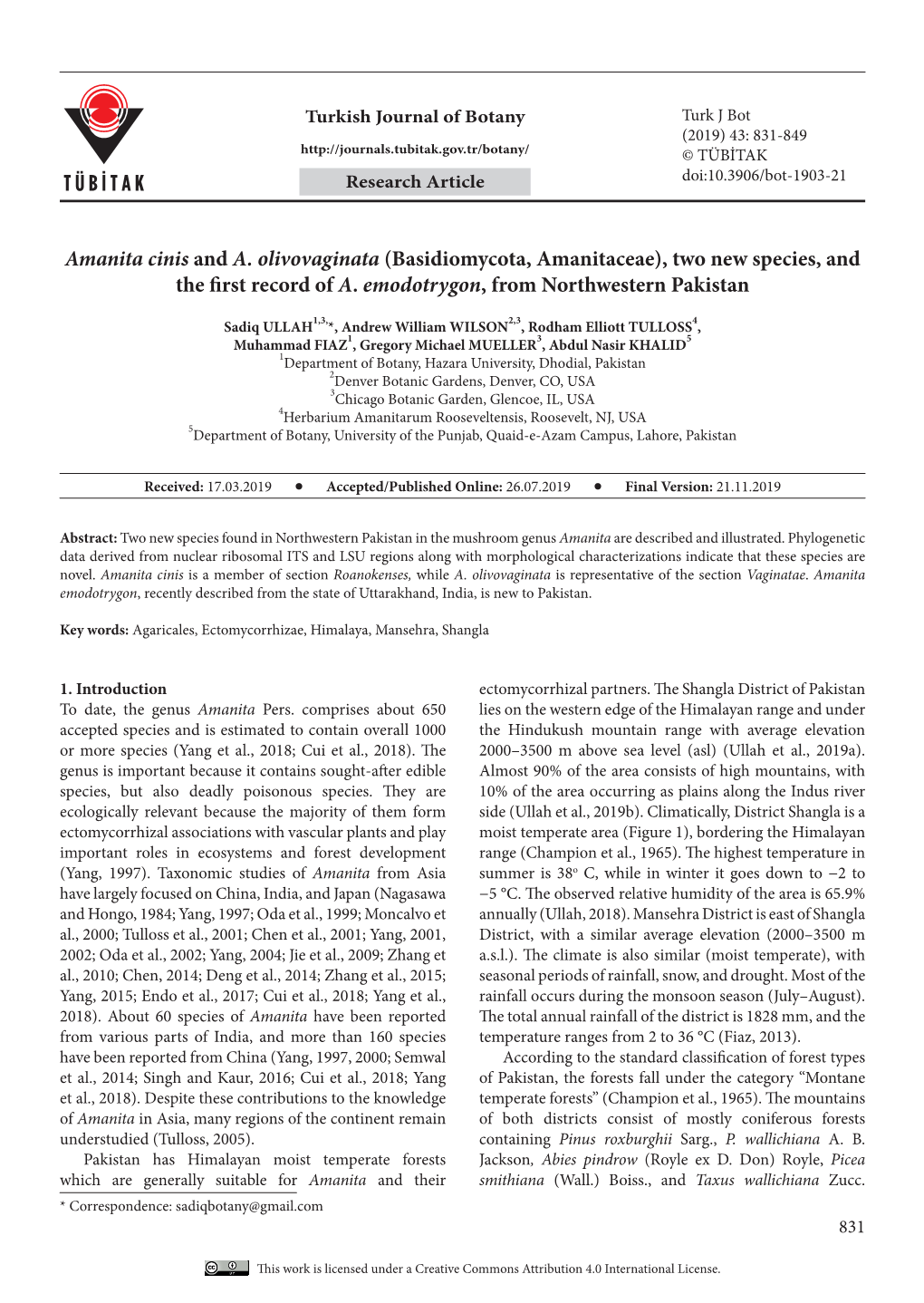 Amanita Cinis and A. Olivovaginata (Basidiomycota, Amanitaceae), Two New Species, and the First Record Ofa