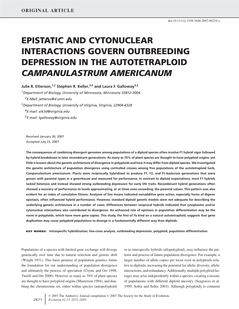 Epistatic and Cytonuclear Interactions Govern Outbreeding Depression in the Autotetraploid Campanulastrum Americanum