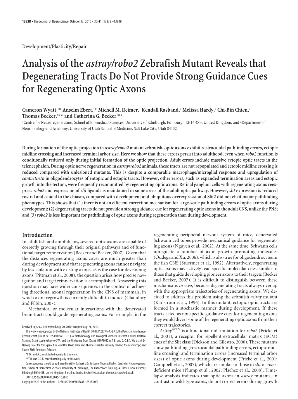 Analysis of Theastray/Robo2zebrafish Mutant Reveals That Degenerating