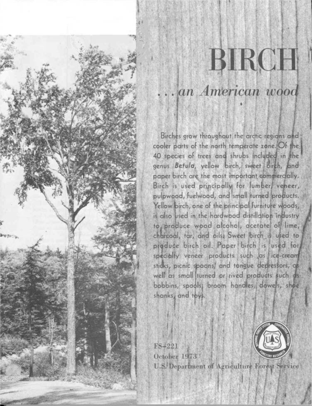 221Birch.Pdf