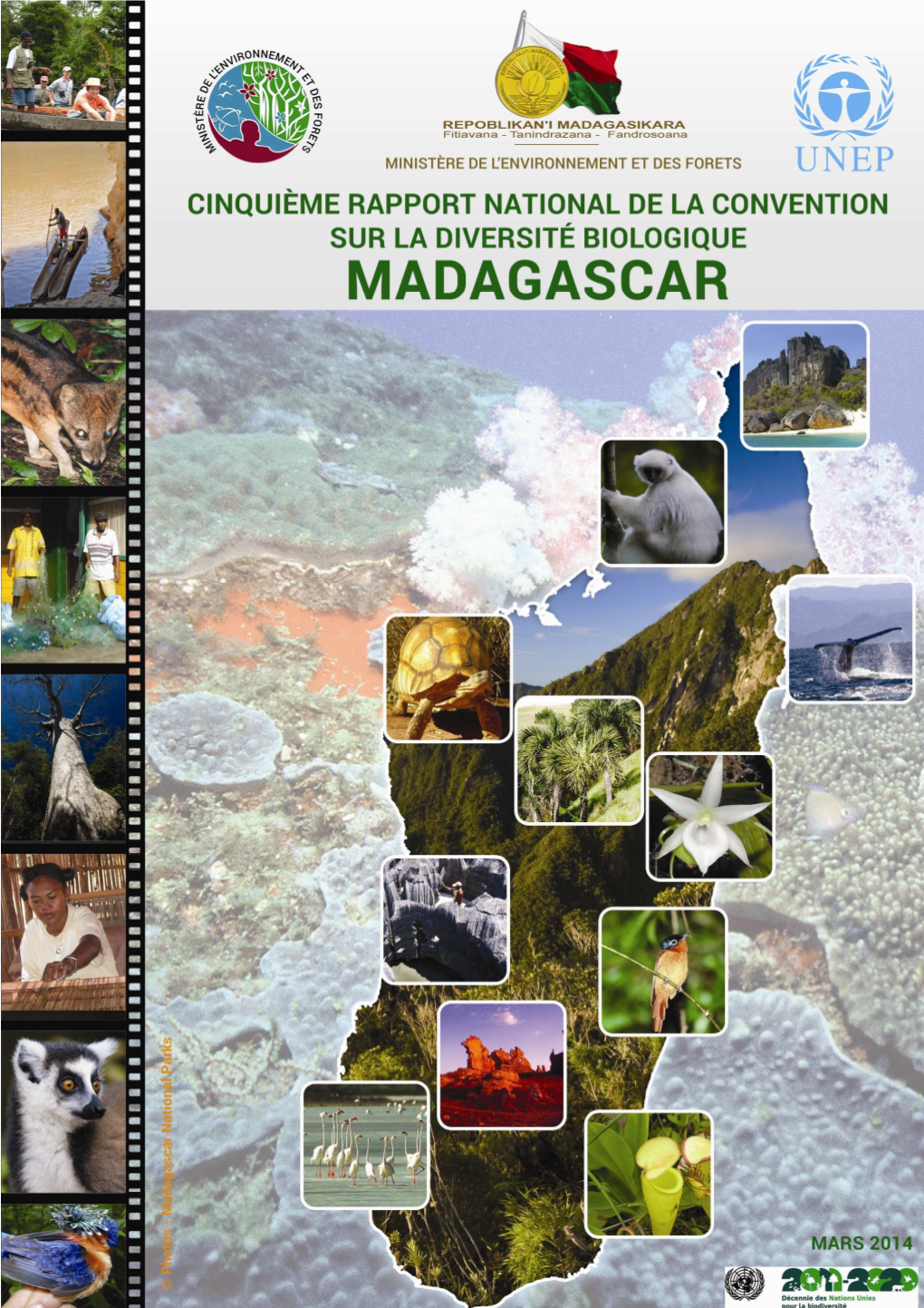 Madagascar I