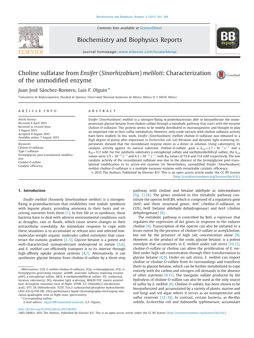 Choline Sulfatase from Ensifer (Sinorhizobium) Meliloti: Characterization of the Unmodiﬁed Enzyme