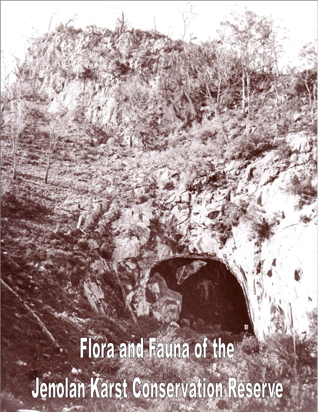 Flora and Fauna 2008.Pdf