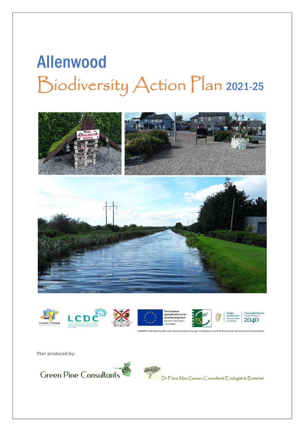 Allenwood Biodiversity Action Plan 2021