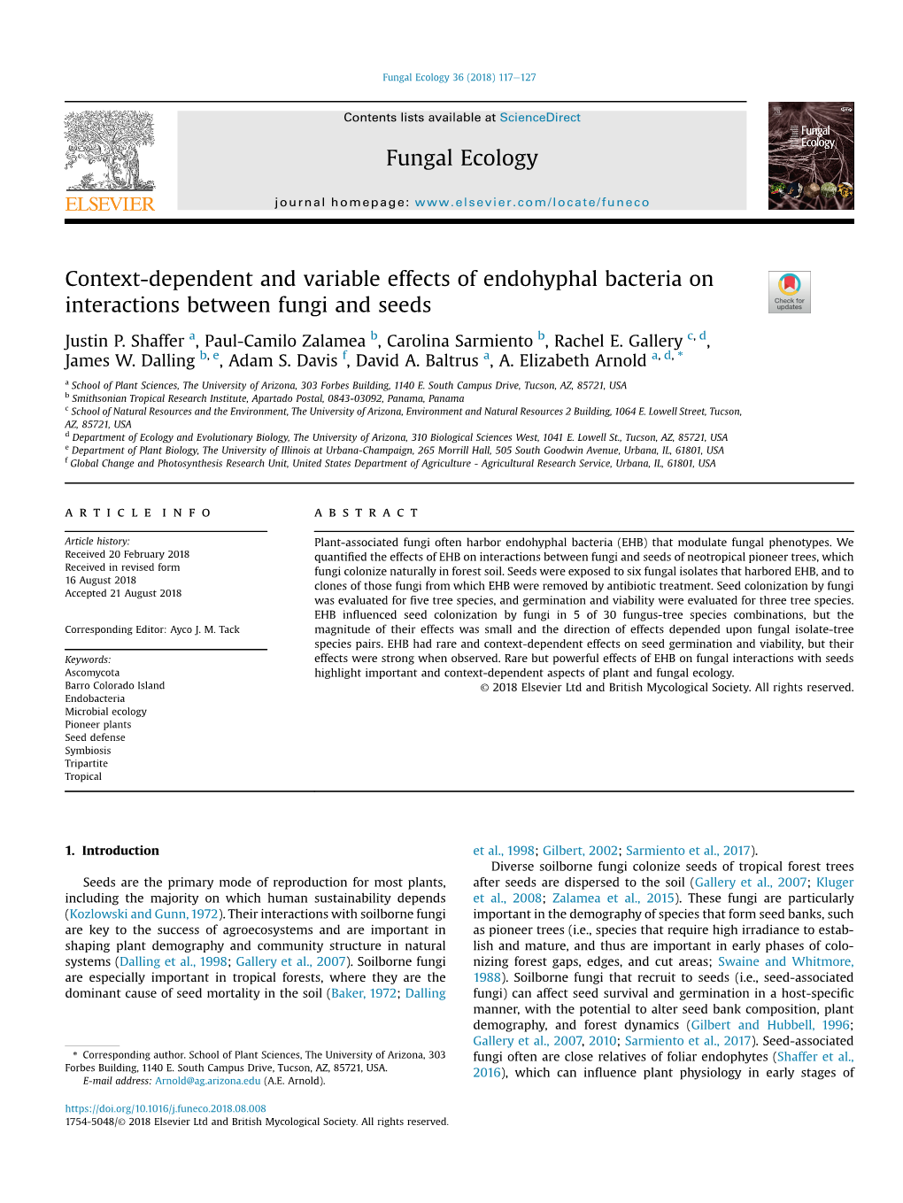 Context-Dependent and Variable Effects of Endohyphal Bacteria on Interactions Between Fungi and Seeds