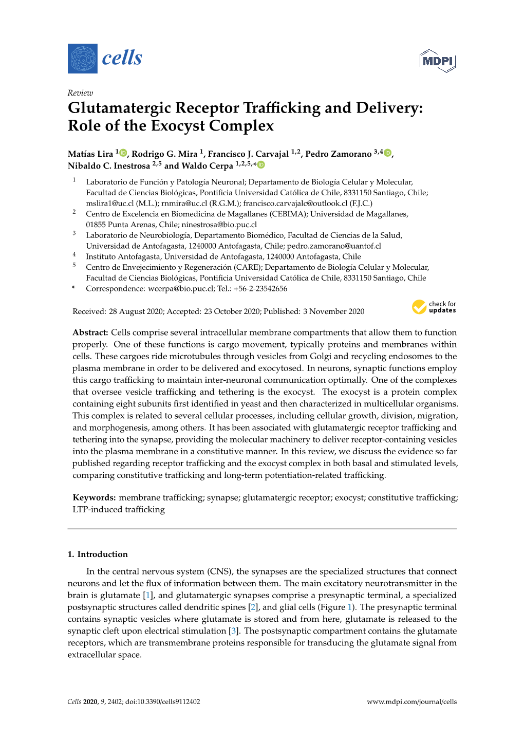 Glutamatergic Receptor Trafficking and Delivery: Role of the Exocyst