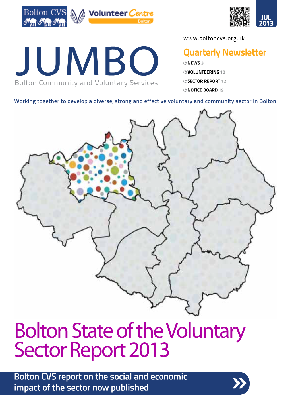 Bolton State of the Voluntary Sector Report 2013