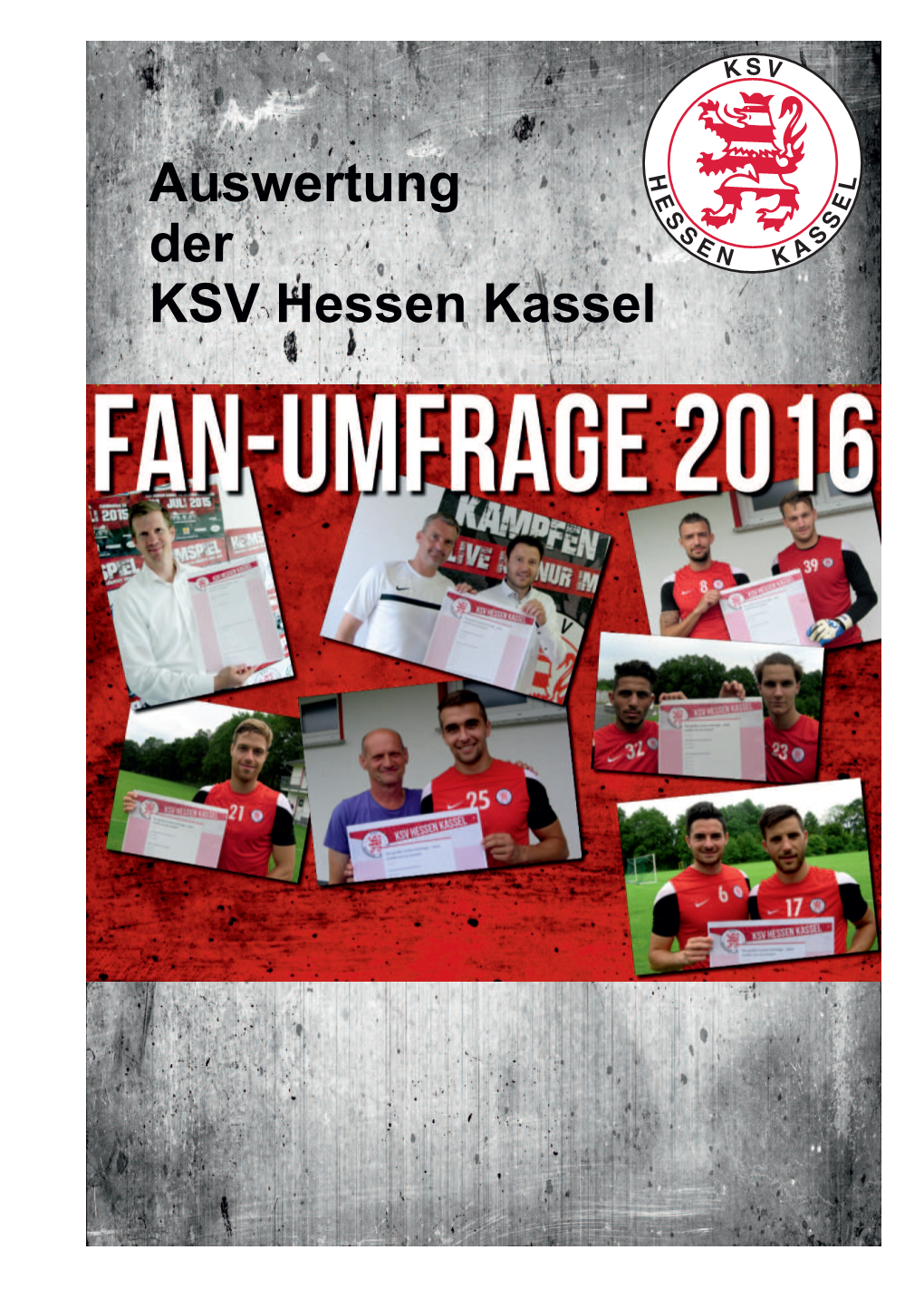 Fanumfrage Auswertung V4.Cdr