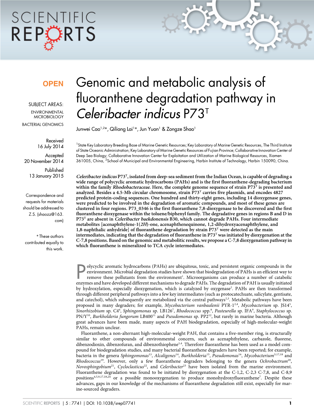 Genomic and Metabolic Analysis of Fluoranthene Degradation Pathway in Celeribacter Indicus