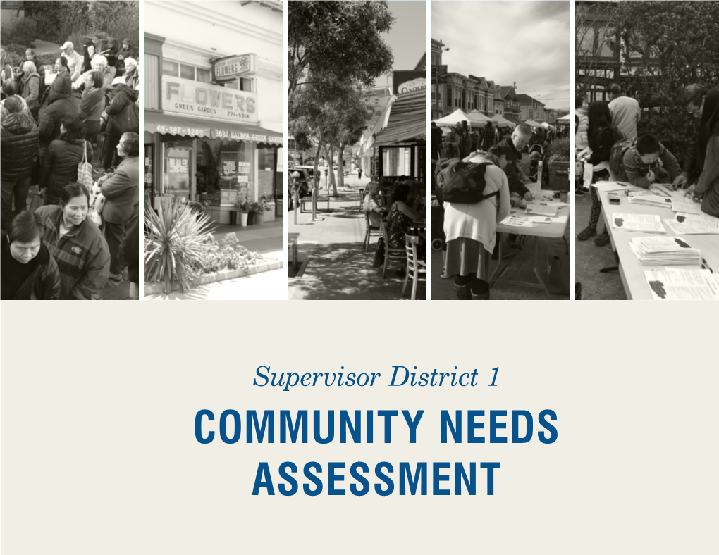 COMMUNITY NEEDS ASSESSMENT Ii DISTRICT 1 COMMUNITY NEEDS ASSESSMENT TABLE of CONTENTS