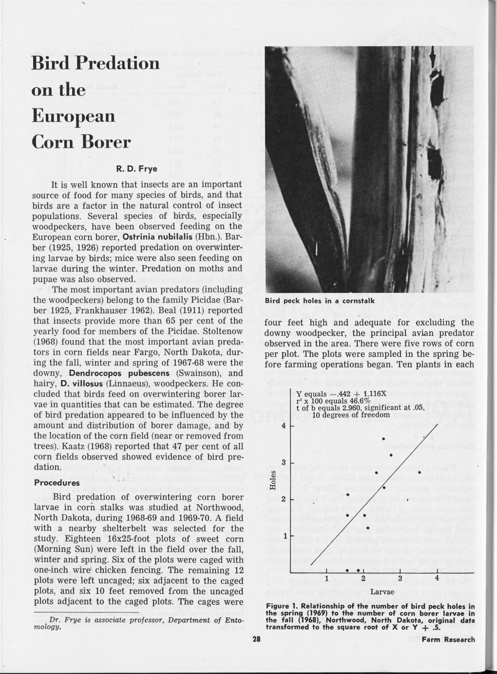 Bird Predation on the European Corn Borer