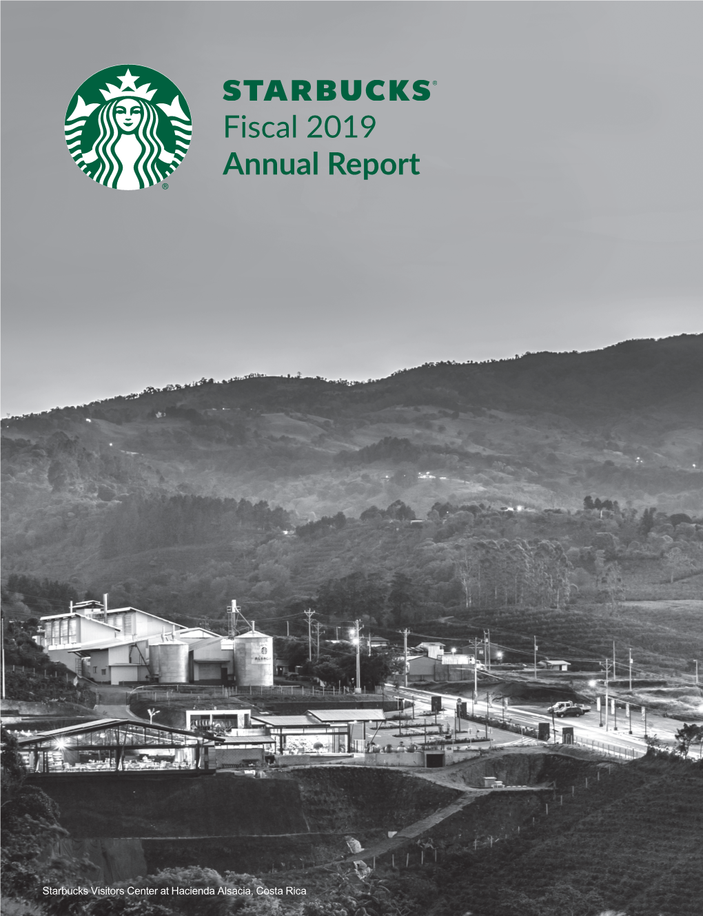 Fiscal 2019 Annual Report