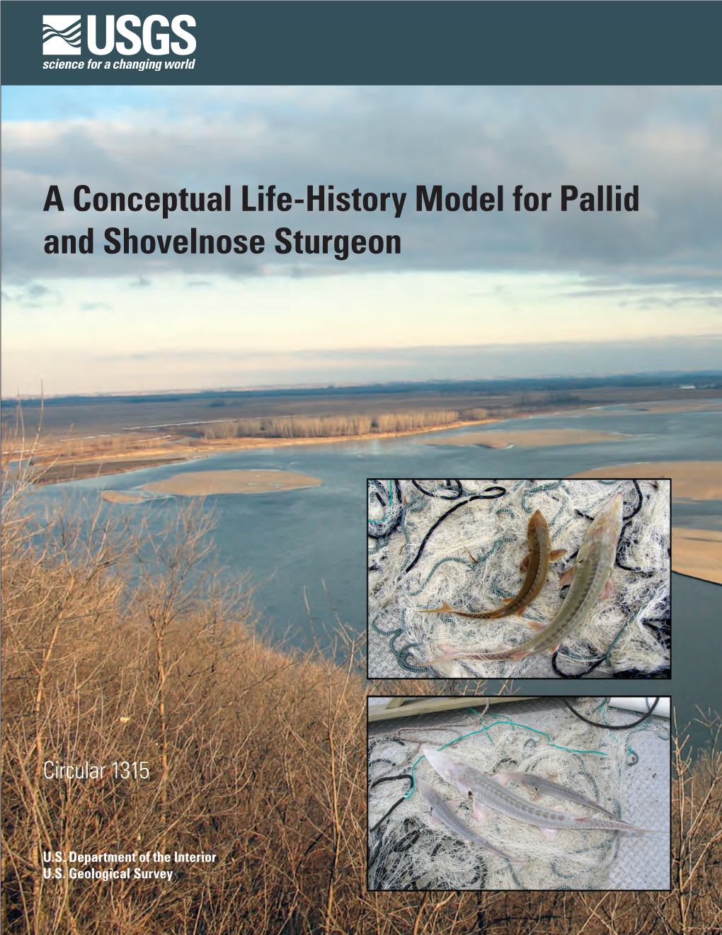 A Conceptual Life-History Model for Pallid and Shovelnose Sturgeon