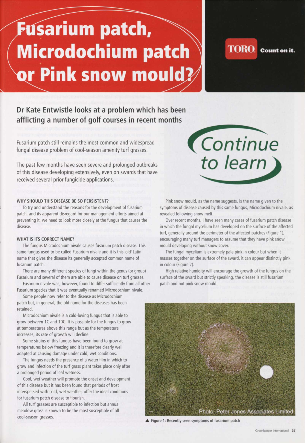 Fusarium Patch, Microdochium Patch, Or Pink Snow Mould?