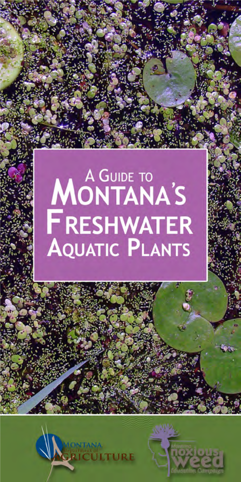 A Guide to Montana's Freshwater Aquatic Plants