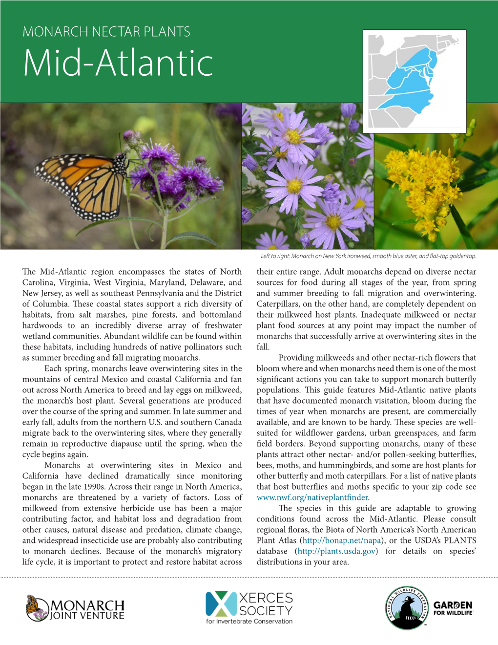 Monarch Nectar Plants: Mid-Atlantic