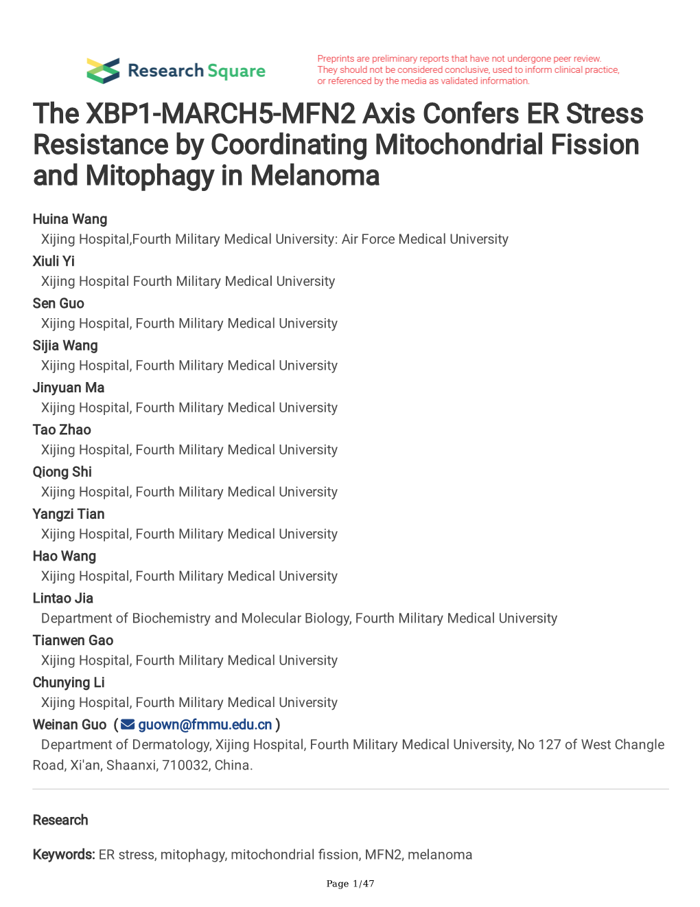 The XBP1-MARCH5-MFN2 Axis Confers ER Stress Resistance by Coordinating Mitochondrial Fission and Mitophagy in Melanoma