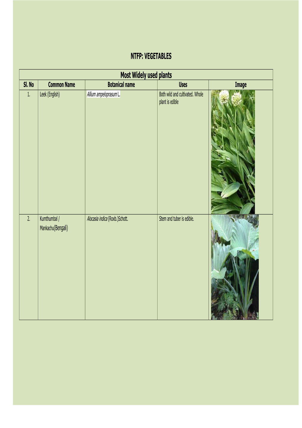 NTFP: VEGETABLES Most Widely Used Plants