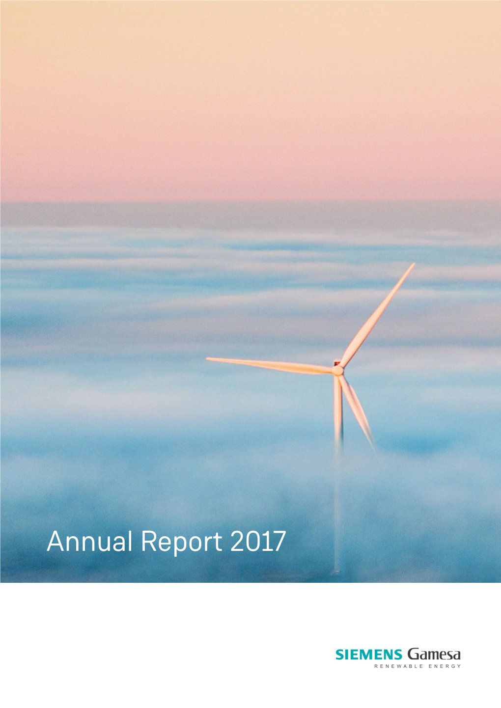 Annual Report 2017 Key Facts 1
