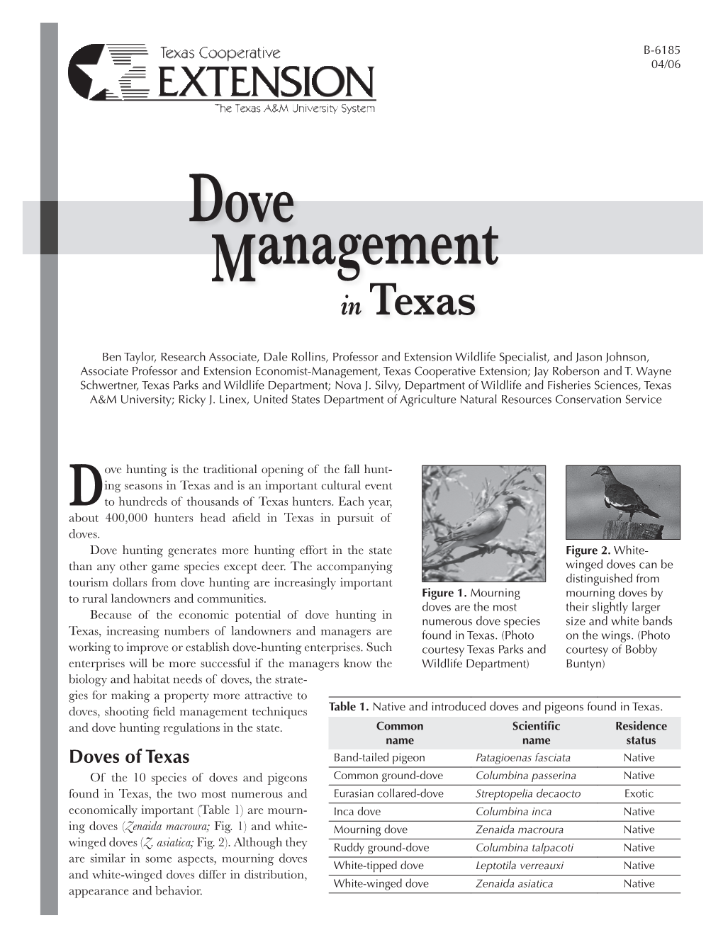 Dove Management in Texas