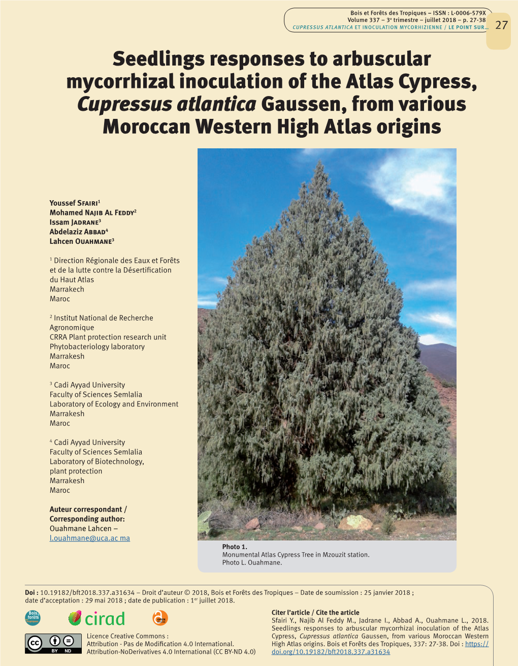 Seedlings Responses to Arbuscular Mycorrhizal Inoculation of the Atlas Cypress, Cupressus Atlantica Gaussen, from Various Moroccan Western High Atlas Origins