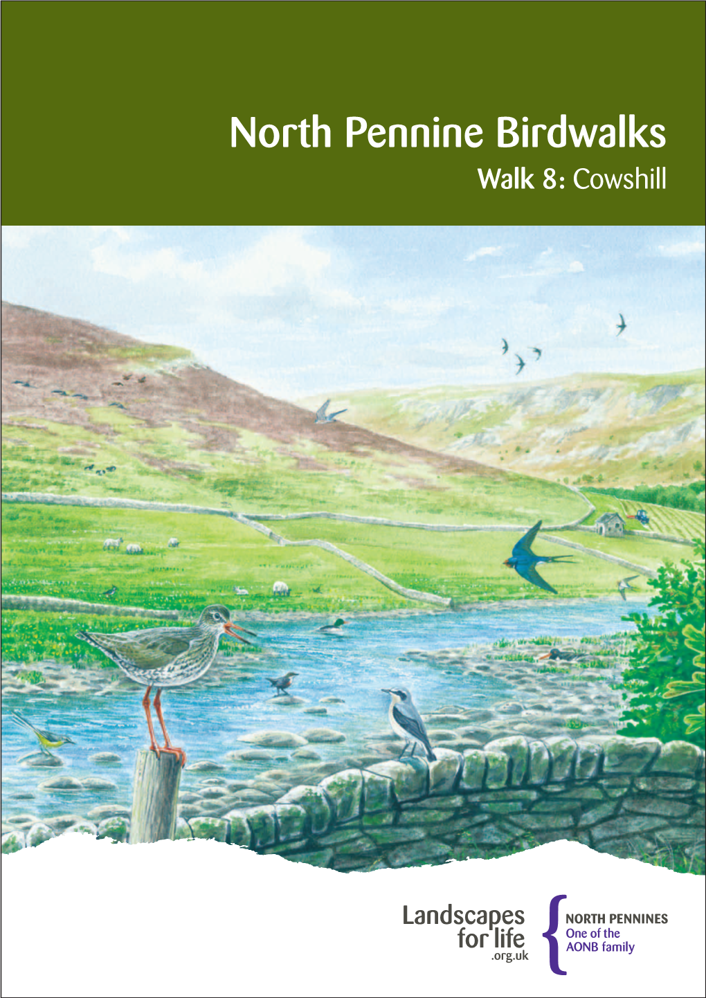 North Pennine Birdwalks Walk 8: Cowshill the Birdwatchers Code of Conduct