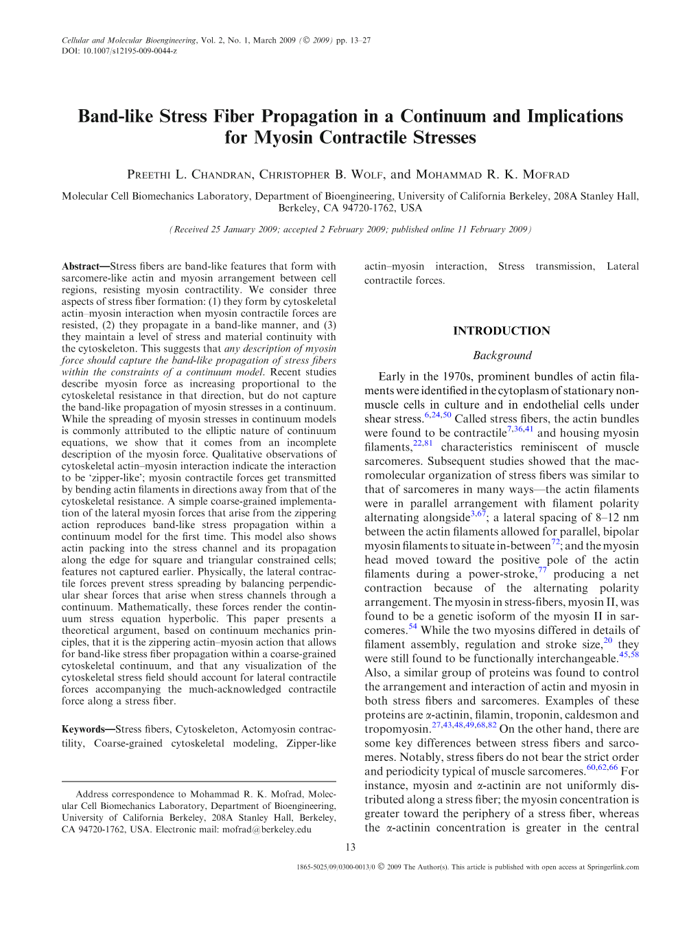 Band-Like Stress Fiber Propagation in a Continuum and Implications for Myosin Contractile Stresses