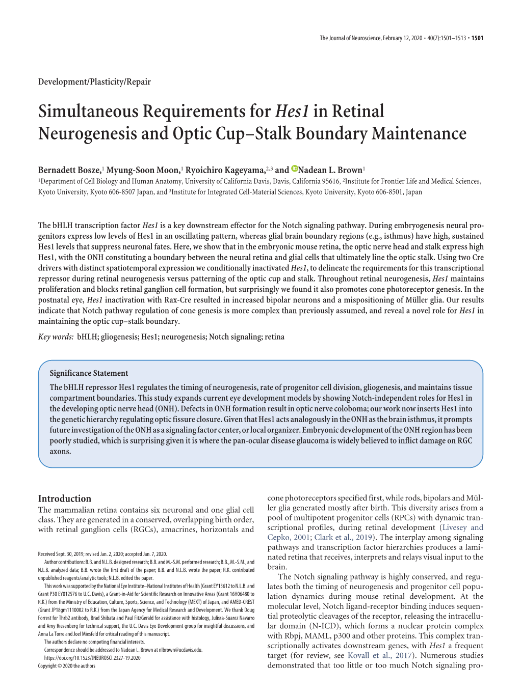 Simultaneous Requirements for Hes1 in Retinal Neurogenesis and Optic Cup–Stalk Boundary Maintenance