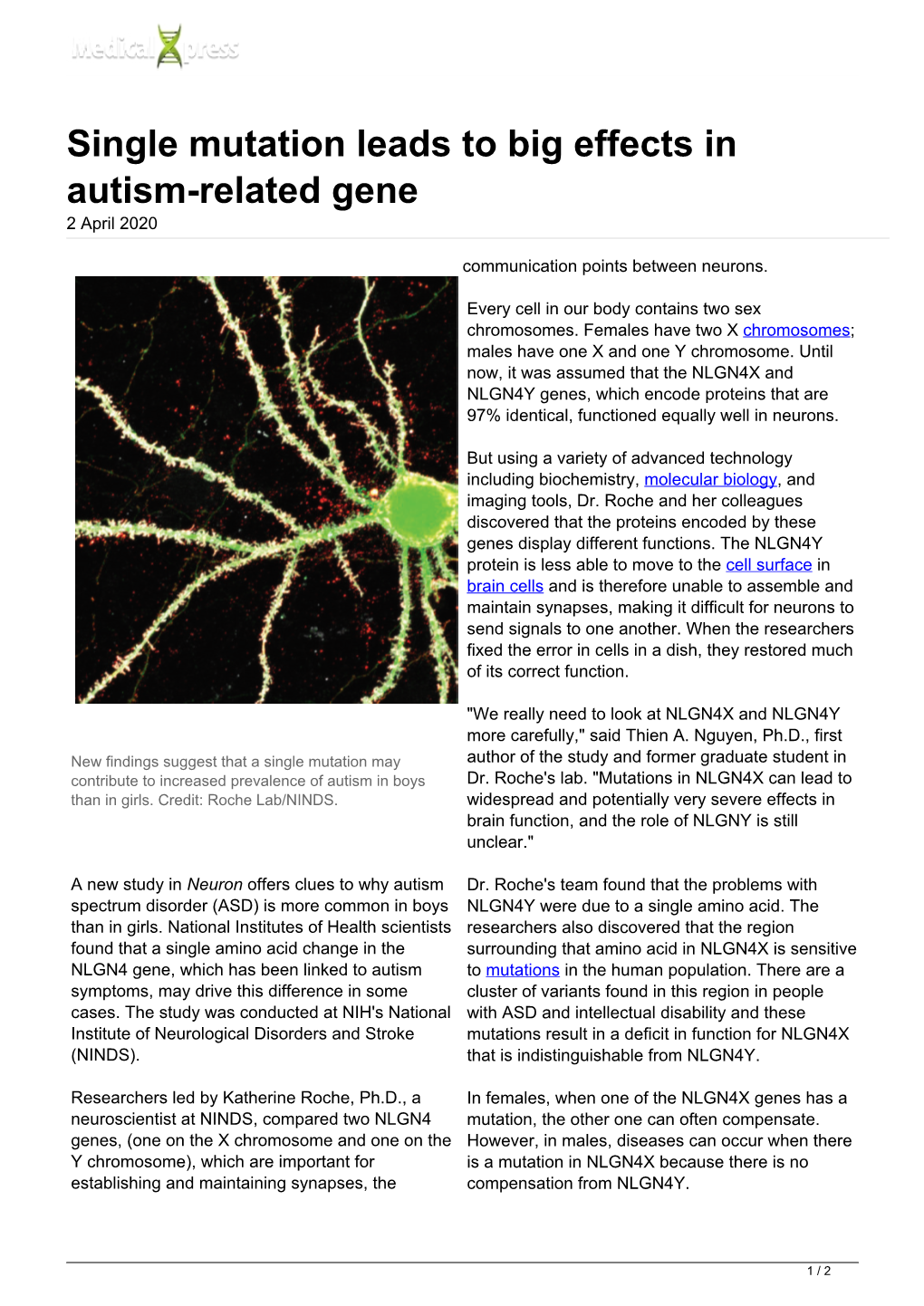 Single Mutation Leads to Big Effects in Autism-Related Gene 2 April 2020