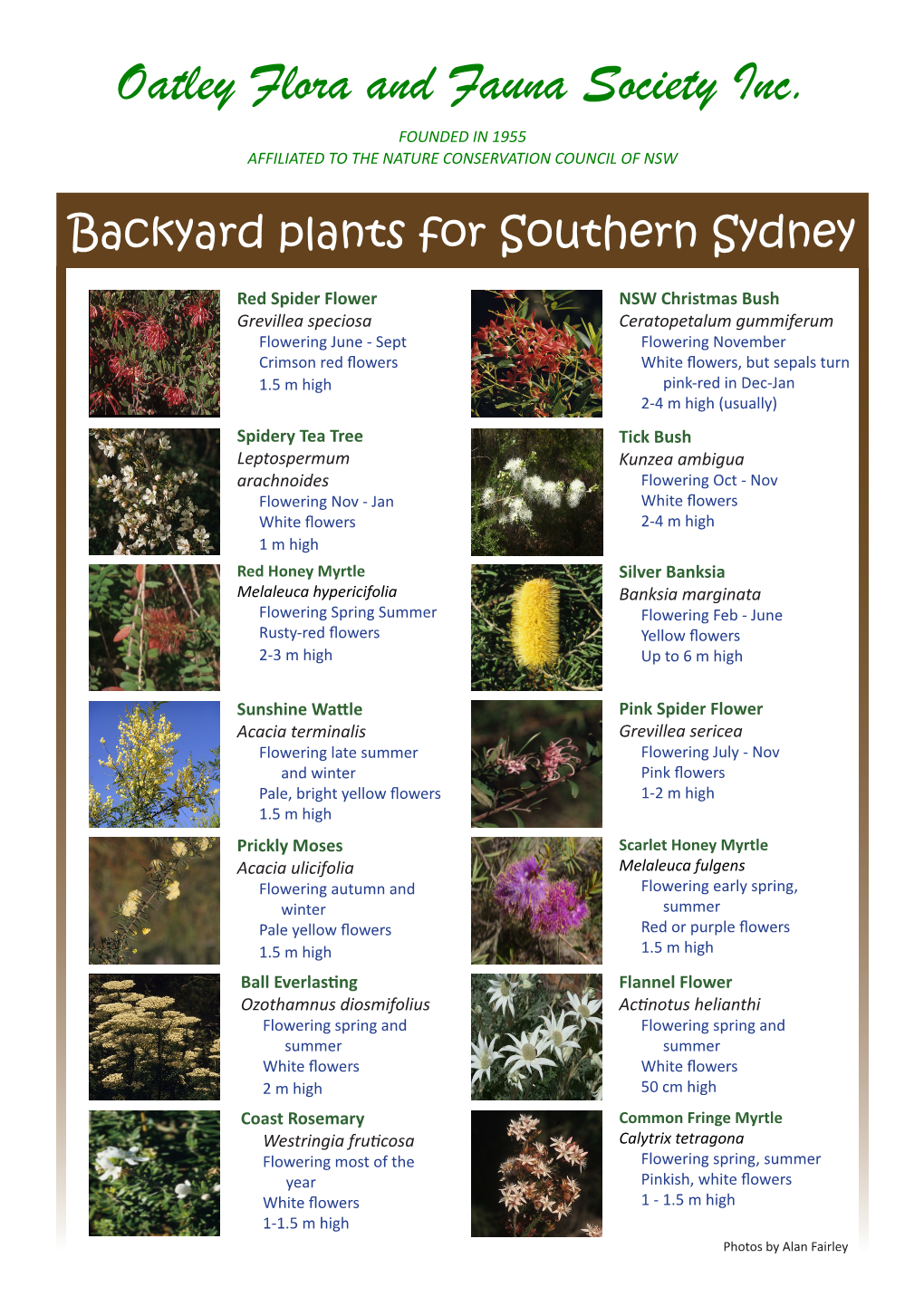 Backyard Plants for Southern Sydney