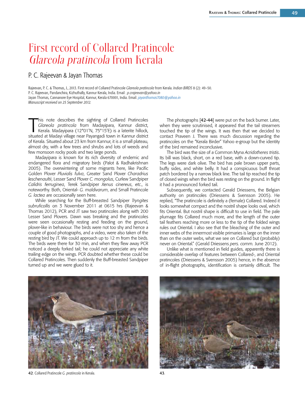 First Record of Collared Pratincole Glareola Pratincola from Kerala P