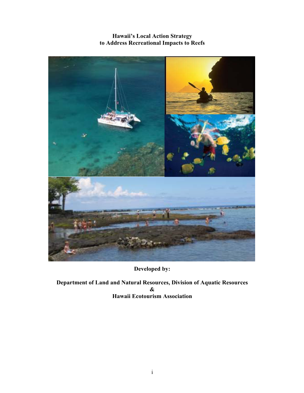 Hawaii's Local Action Strategy to Address Recreational Impacts to Reefs