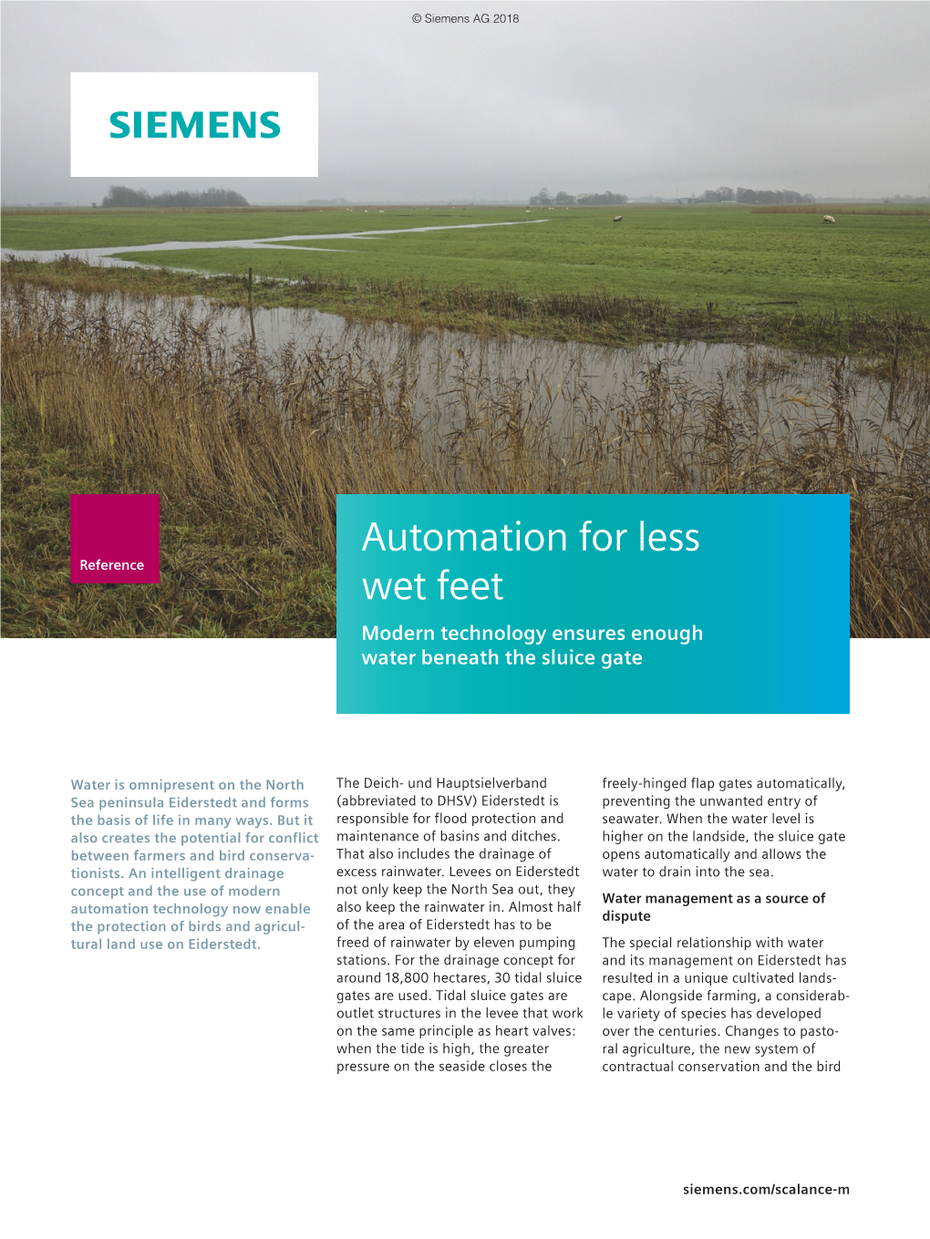 Automation for Less Wet Feed